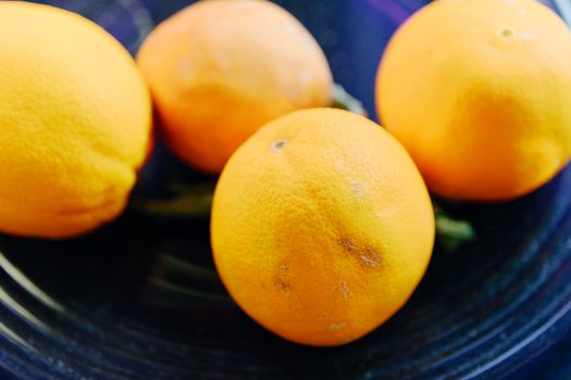 Oranges, Navels (Raw)