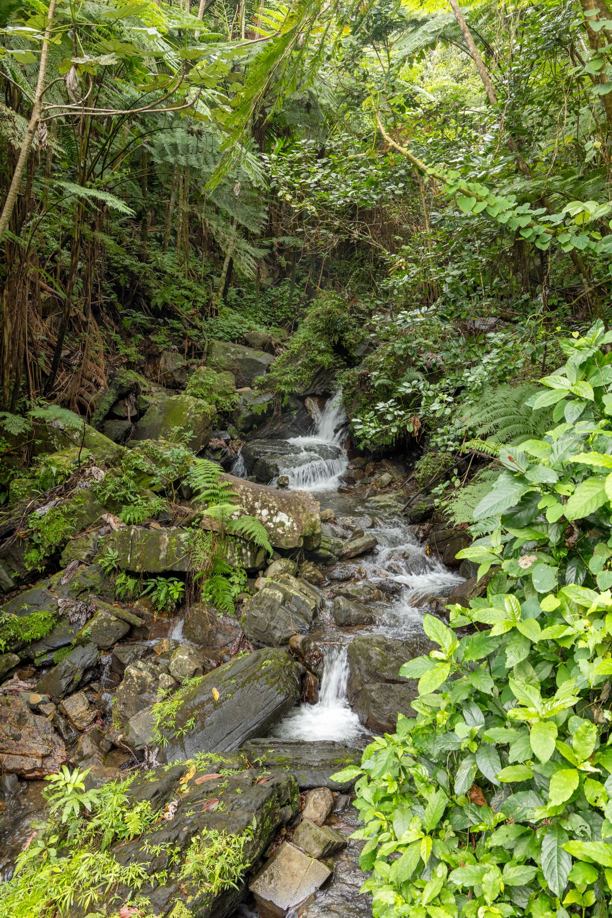 Puerto Rico Wallpaper Photos, Download The