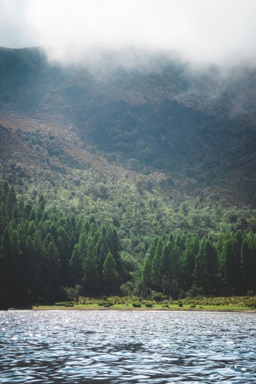 Free Majestic view of mountains and lush forest in Cañar, Ecuador. Stock Photo