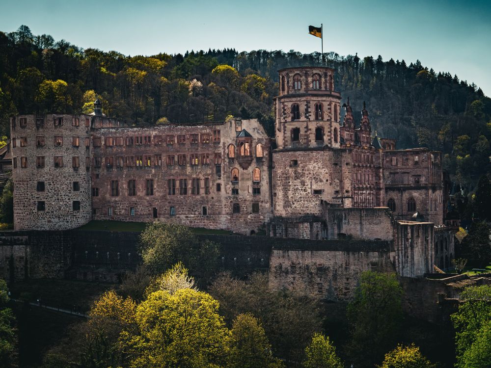 Heidelberg Castle & Old Town Day Trip