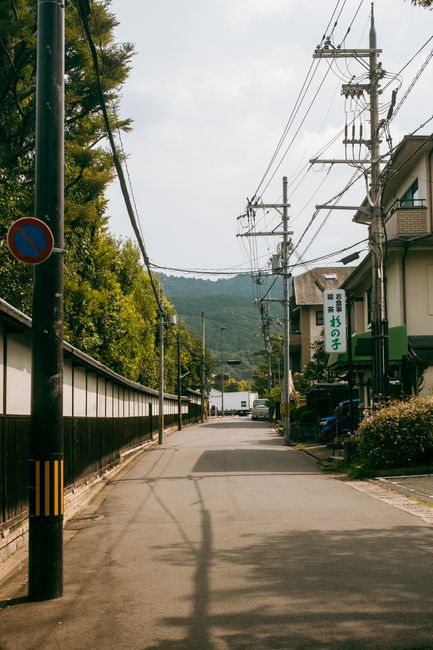 Serene street view in Kyoto, Japan with lush trees and traditional architecture.