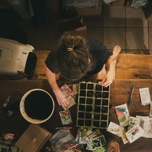 A person planting seeds in containers on a wooden table — photo by Ian Findley on Pexels