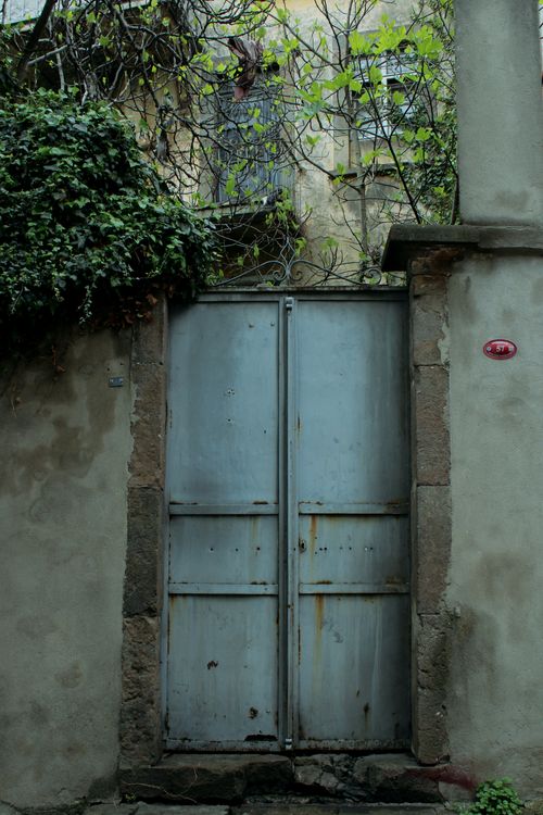 Free A weathered metal gate with ivy in a vintage garden. Perfect for rustic themes. Stock Photo