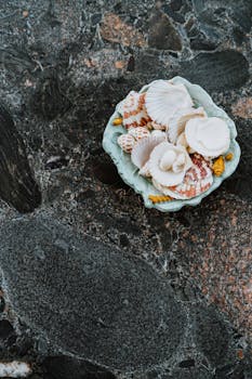 A decorative bowl filled with seashells and coral on a rocky surface in Zanzibar.