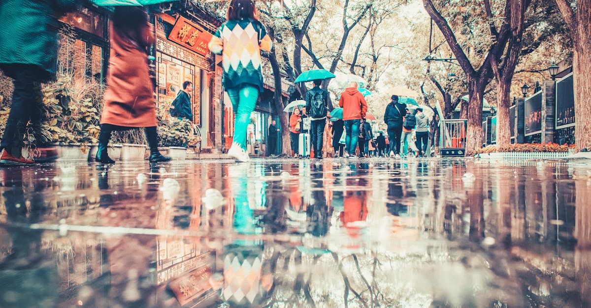 moisture and termite problems, weather climate forecasting