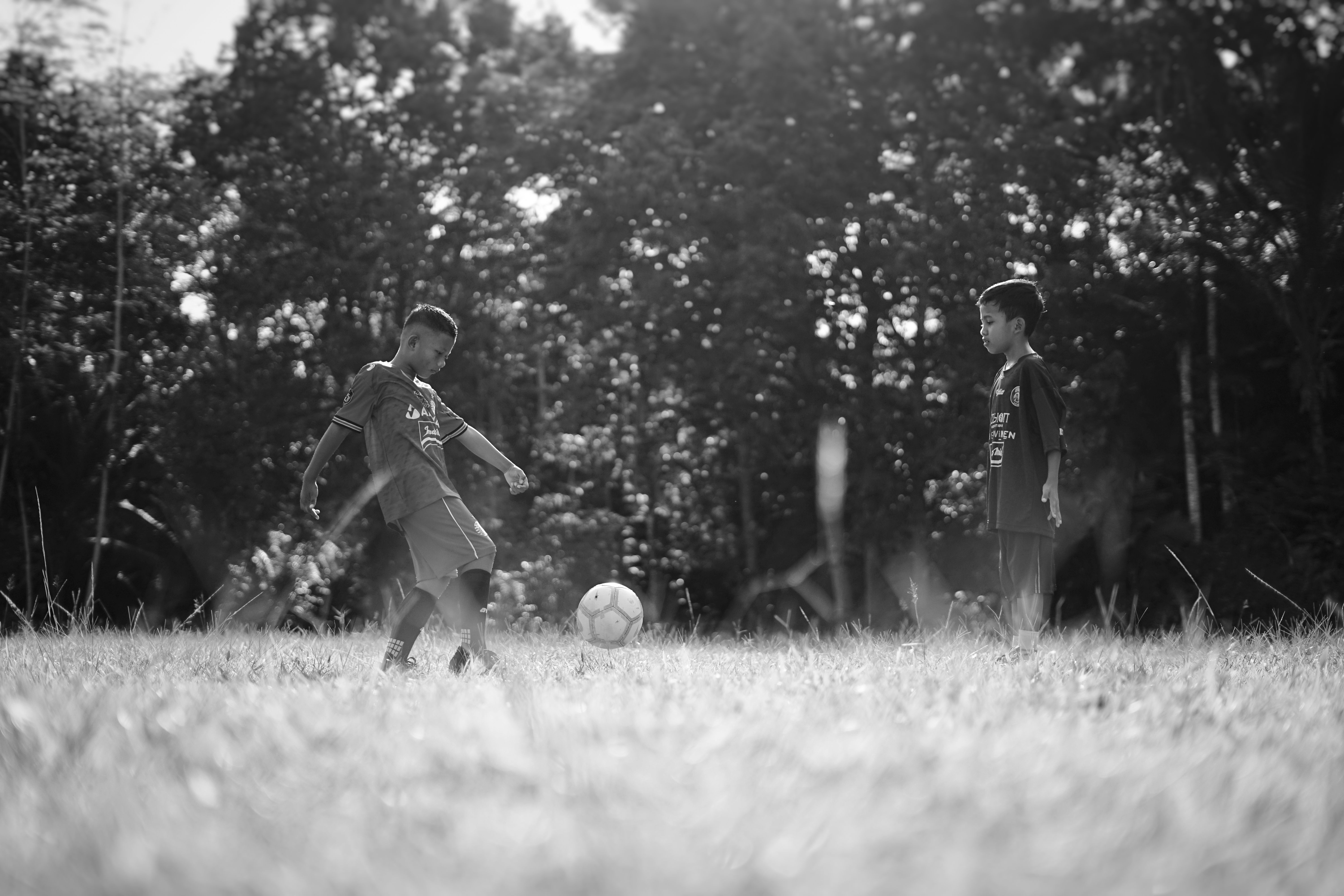 Children Playing Soccer in Sunny Park