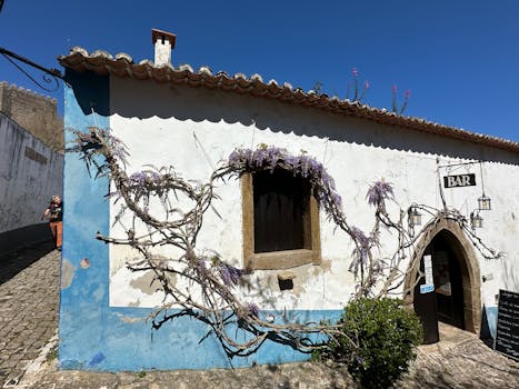 Charming bar in Óbidos, Portugal, with wisteria vines draping the facade under a clear blue sky.