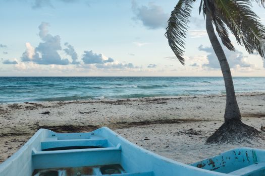 Peaceful beach with a lone palm tree and an empty boat facing the calm ocean.