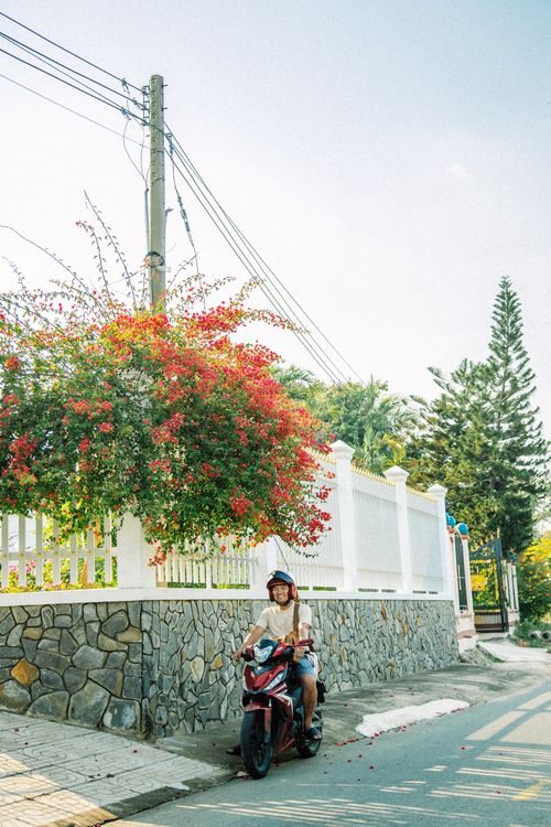 Free A man on a scooter rides by a stone wall with vibrant flowers on a sunny street. Stock Photo