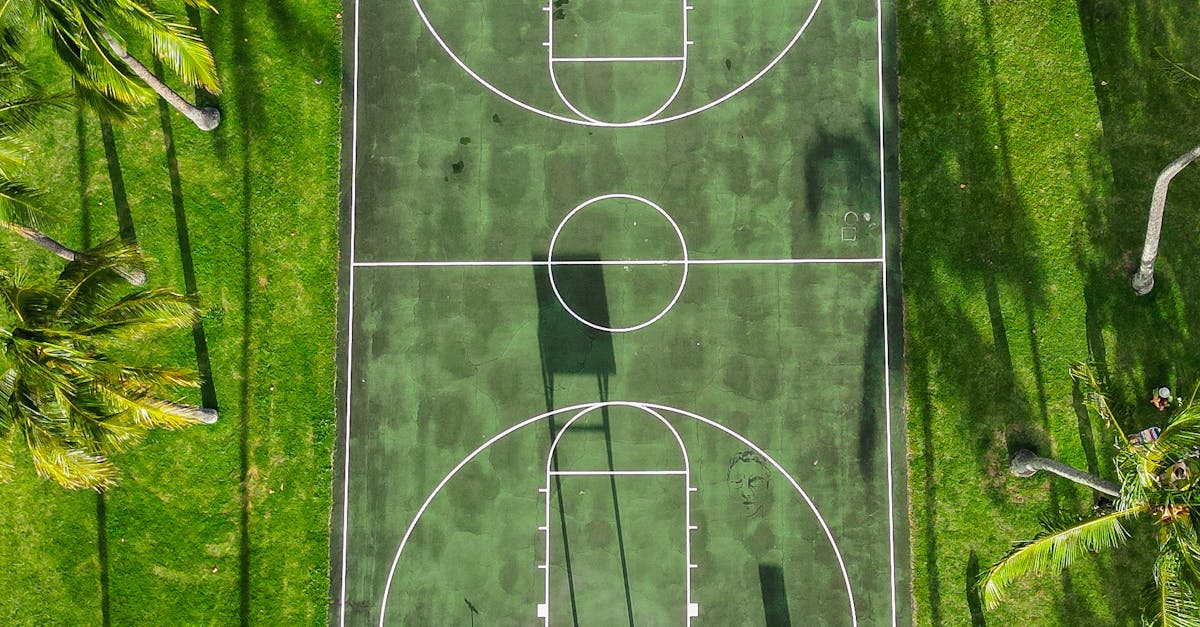 Photo by Vasilis Karkalas Top-down aerial view of a basketball court surrounded by palm trees in Hawaii.