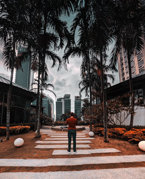 Man in Red Shirt Standing Near Trees