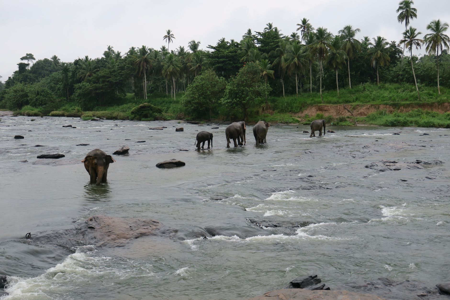 Elephant Rock Sri Lanka: Location, Access & What to Expect