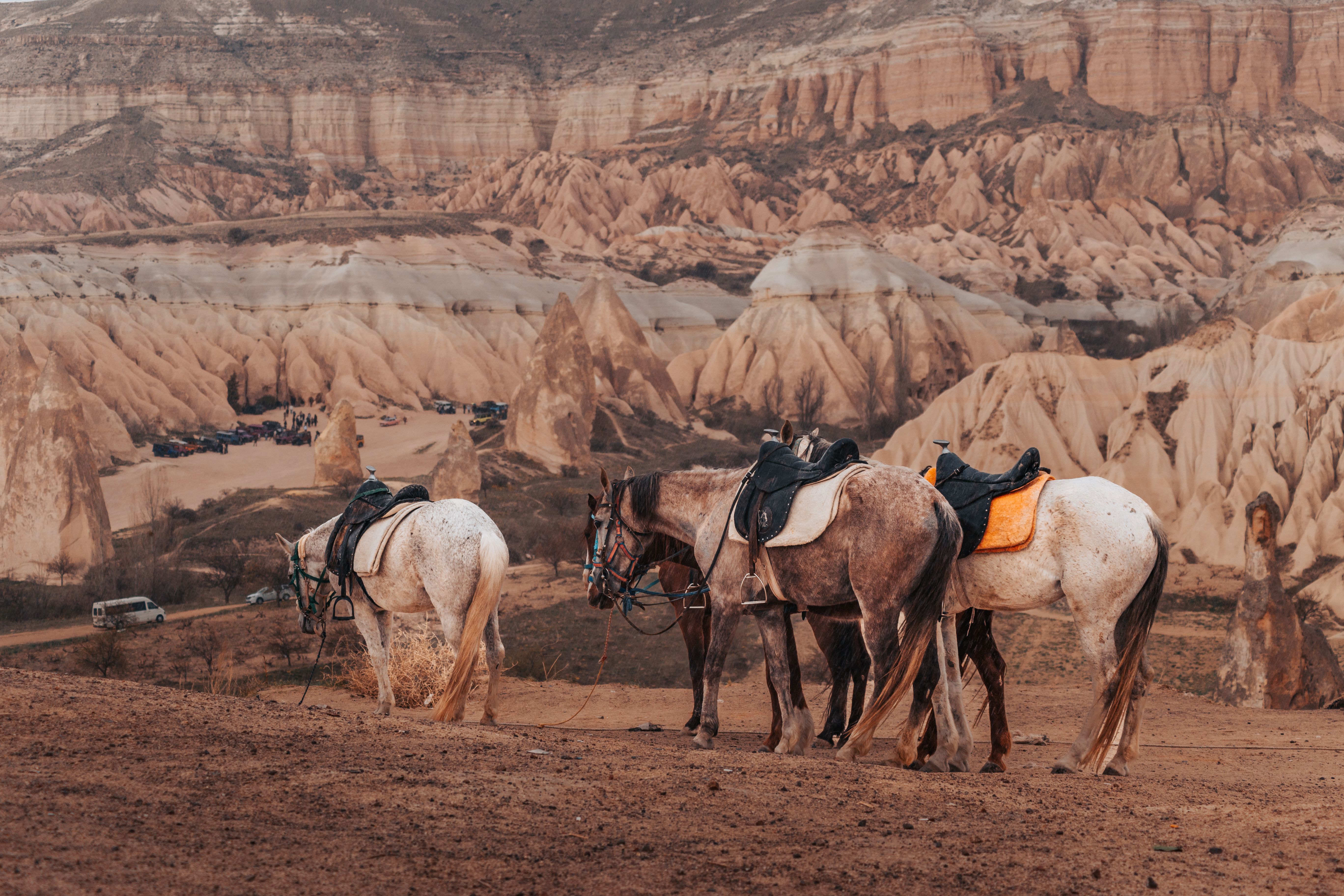 Fotos de Nevsehir, Turquía