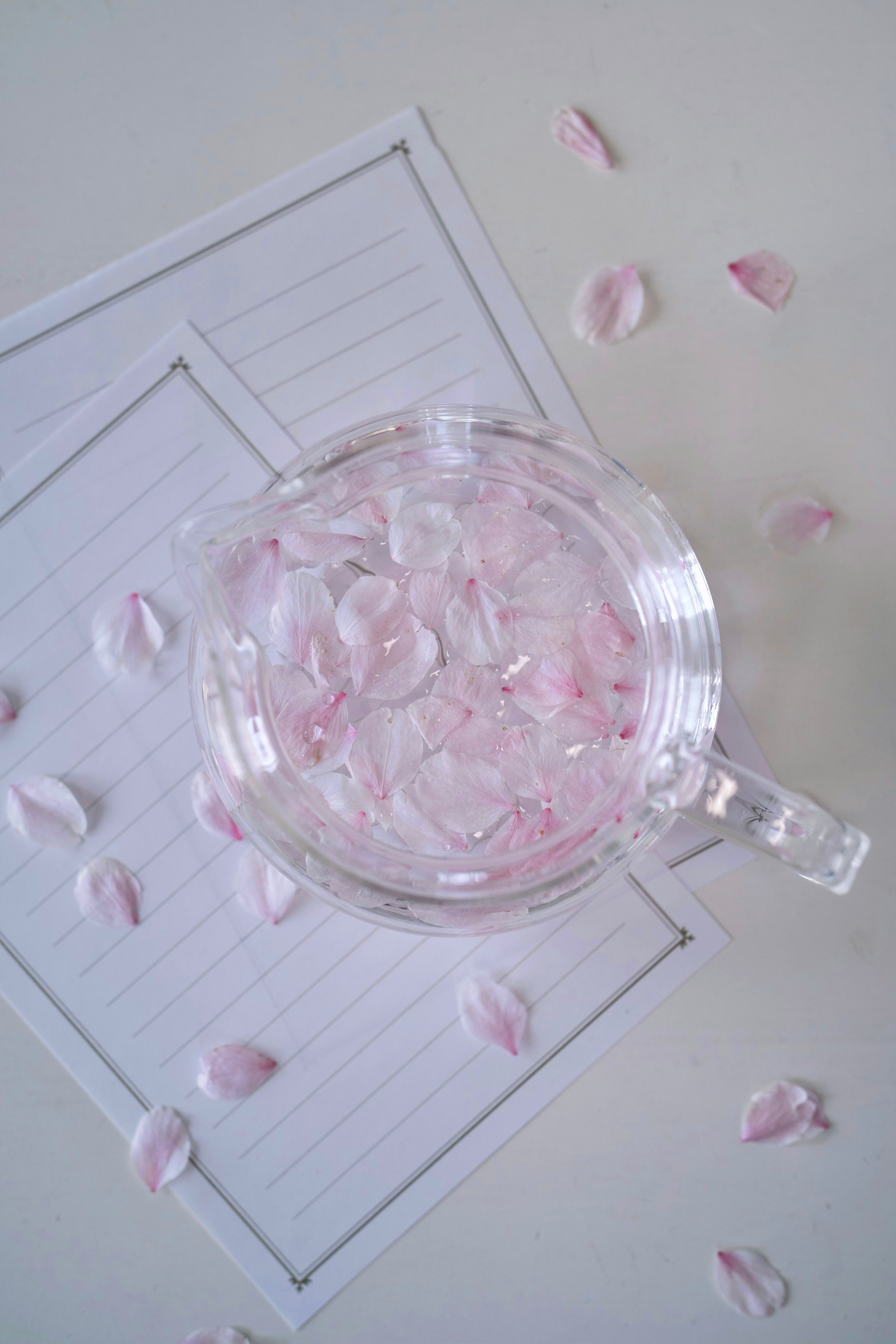 Petals arranged in a glass jug on a white surface