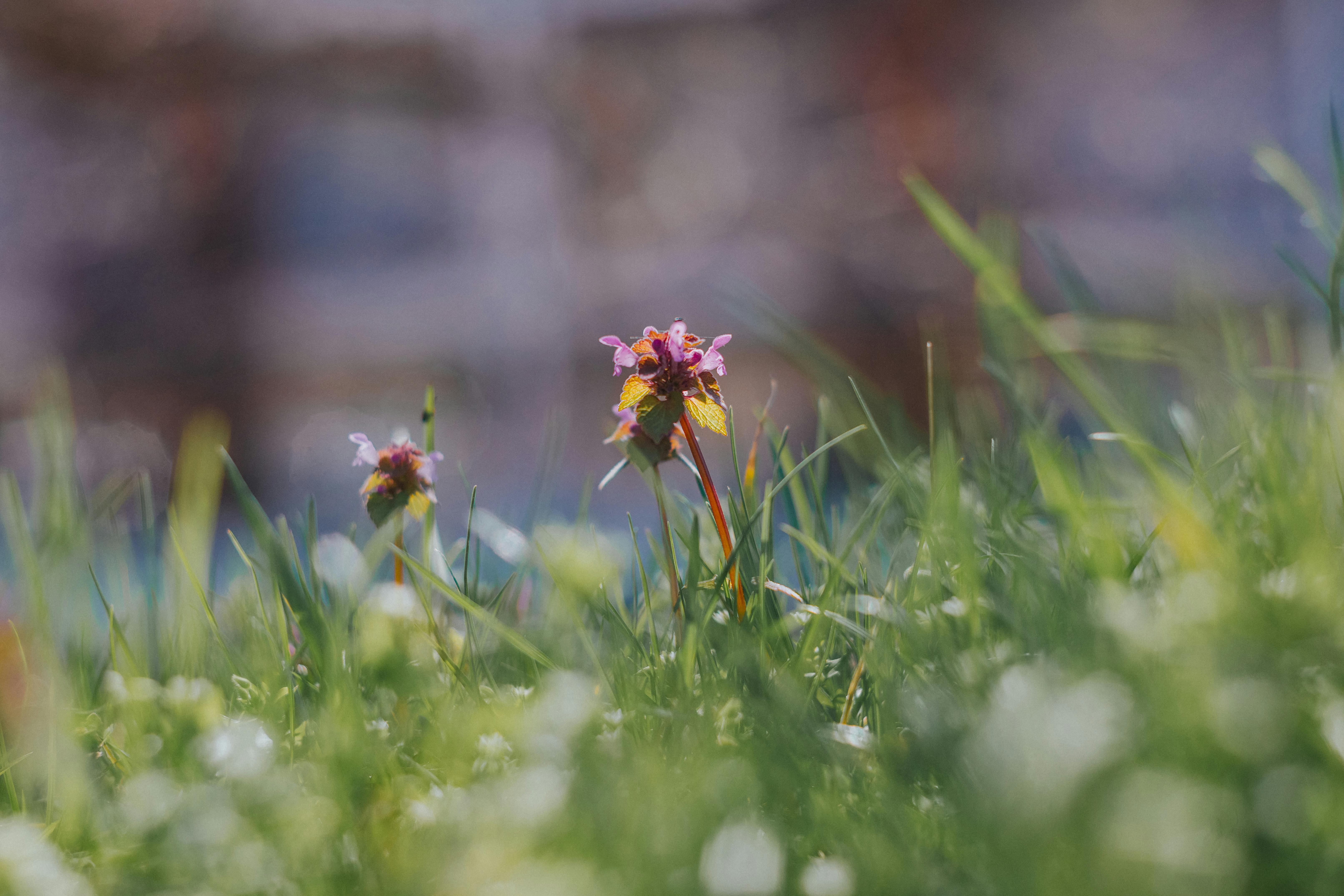 Spring into self-care: Local specialists encourage mothers to prioritize wellness during Mental Health Awareness Month — Phot