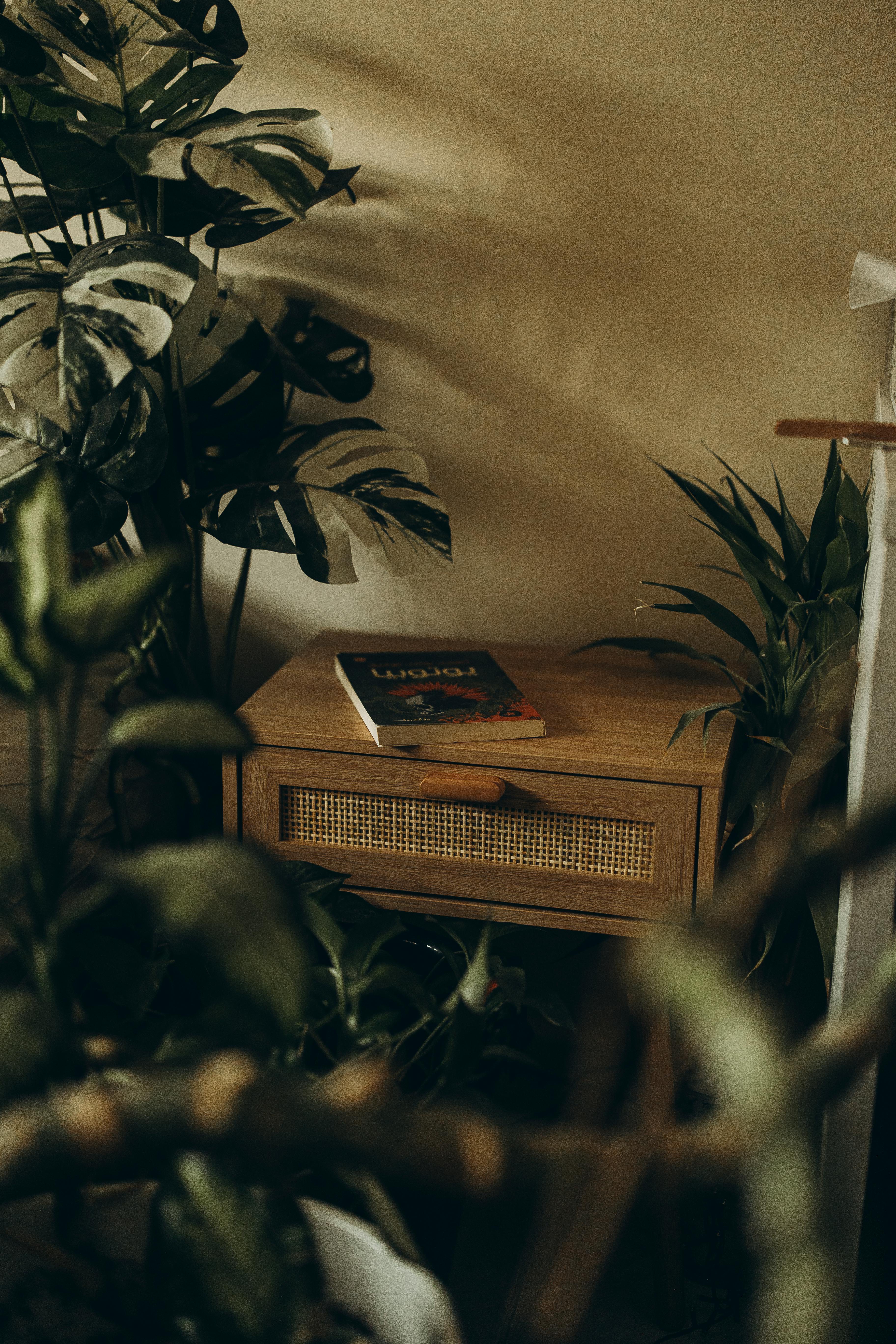 grátis Cantinho do quarto aconchegante e aconchegante com mesa de cabeceira de madeira e plantas verdes exuberantes para um ambiente sereno. Foto profissional