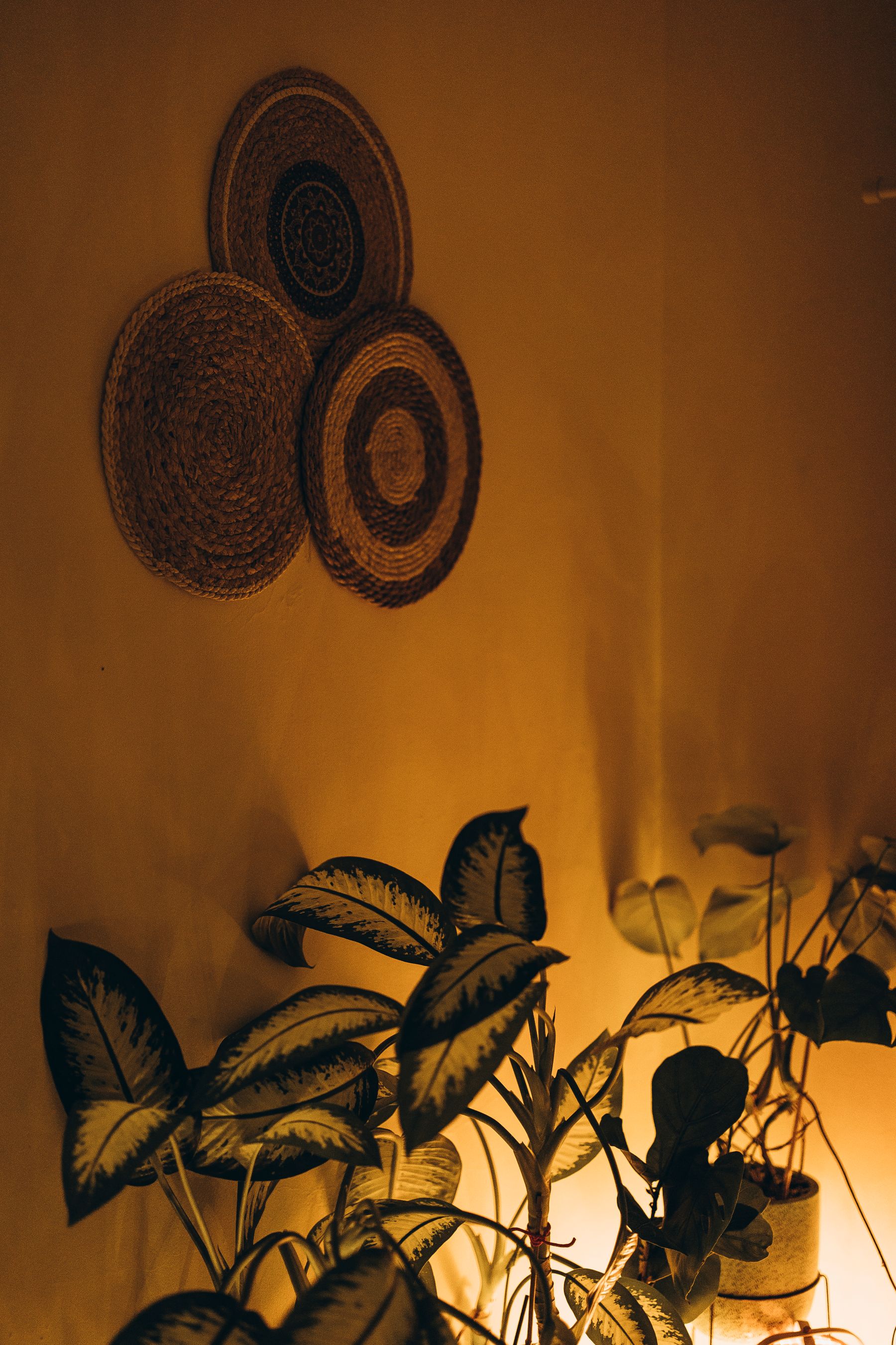 Cozy bedroom with warm ambient lighting and indoor plants