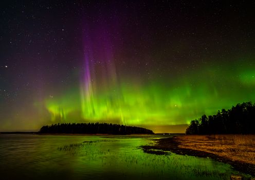 Vivid aurora borealis over shoreline in Askainen, Finland, showcasing green and purple hues under a starry night sky.
