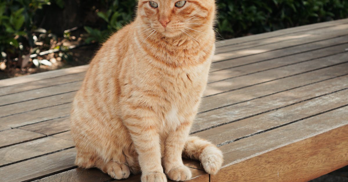 春日邀約 The One 南園重新定義生活的靈光旅程