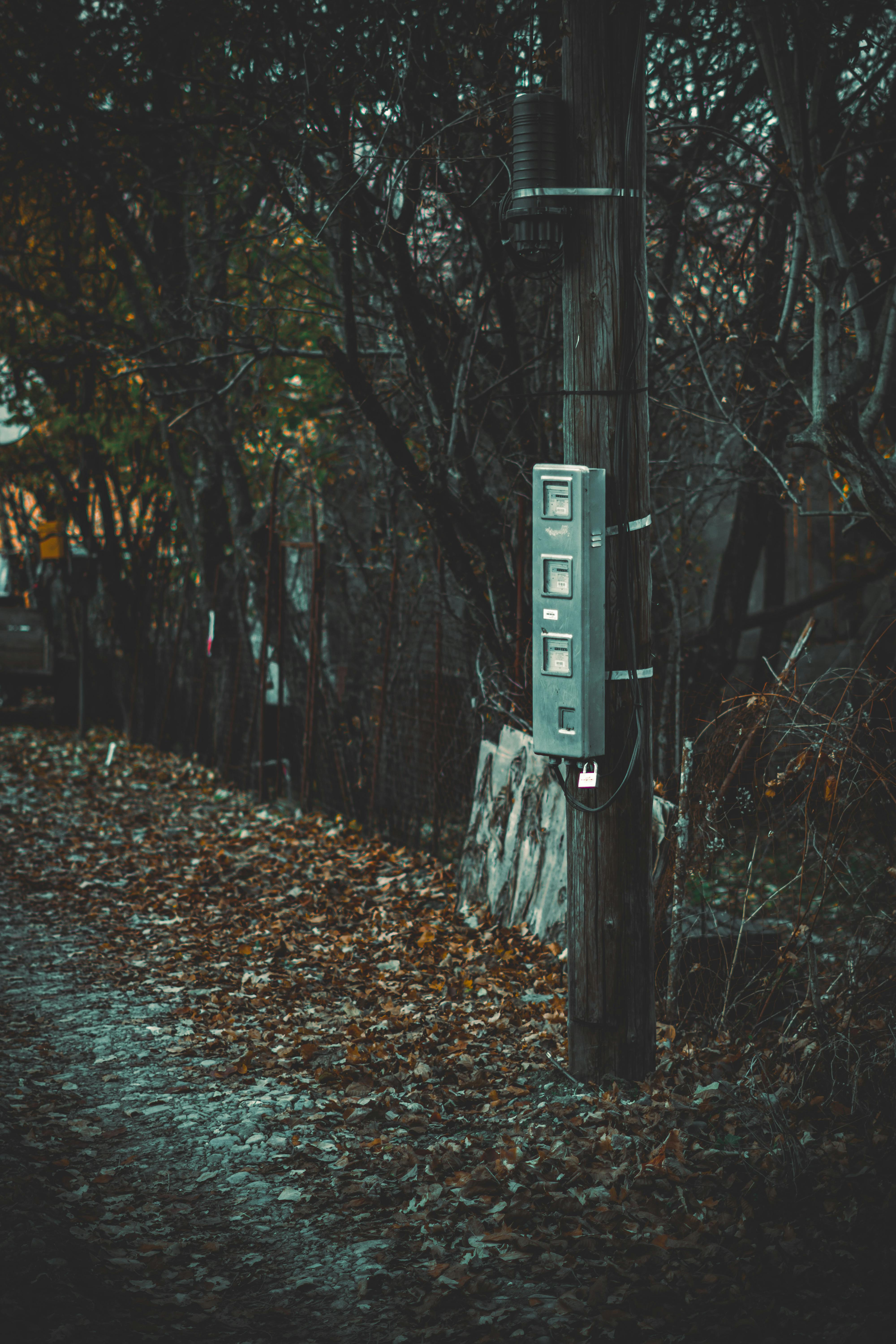 бесплатная Столб электропередач со счетчиками среди опавших осенних листьев на лесной тропе. Стоковое фото