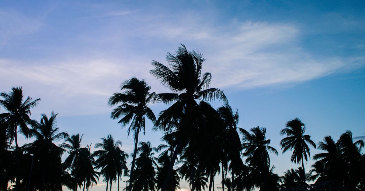Les meilleures destinations de vacances inoubliables à explorer