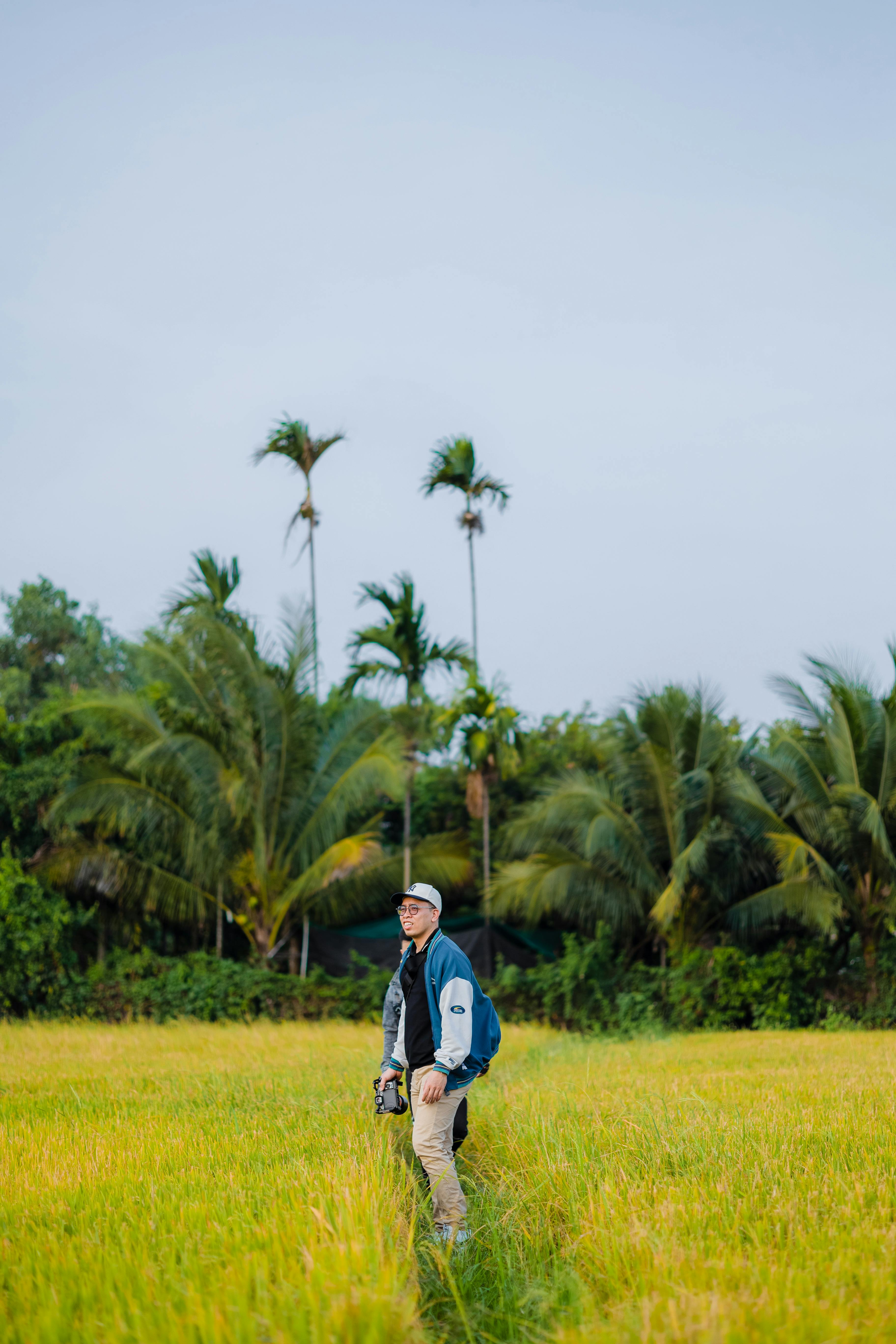 Man in Rice Field with Tropical Palm Trees · Free Stock Photo