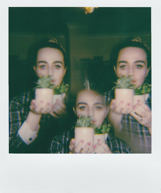 Unpacking the Features and Benefits of the Instant Pot Duo Immersion Blender