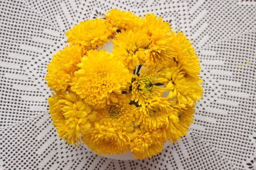 Free Vibrant yellow chrysanthemums arranged on a delicate white lace tablecloth, top view. Stock Photo