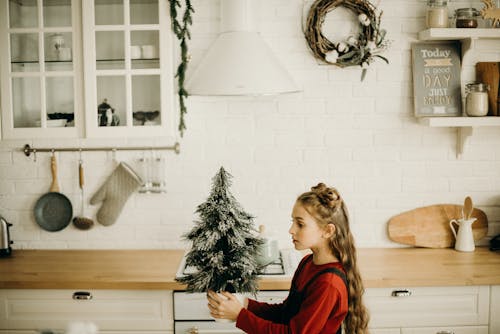 Girl Holding A Little Christmas Tree Decor