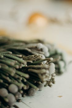 节日装饰的常绿树枝艺术特写，景深浅，突出了节日氛围