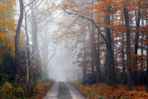 Fall Hiking Weather: Where Trails Shine in Late October