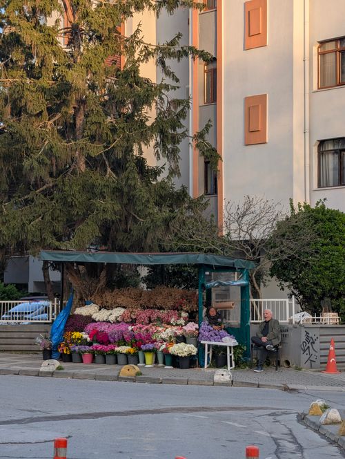 Free Vibrant flower stall on urban street corner with an array of colorful blooms and a lone vendor. Stock Photo