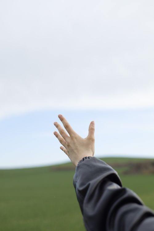 Free A person's hand extends towards the sky above a lush green field, symbolizing aspiration and freedom. Stock Photo