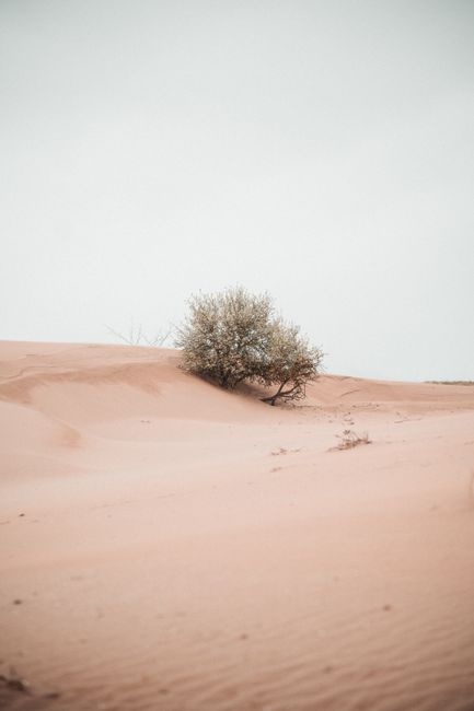 Photo by Zaur Takhgiriev on pexels