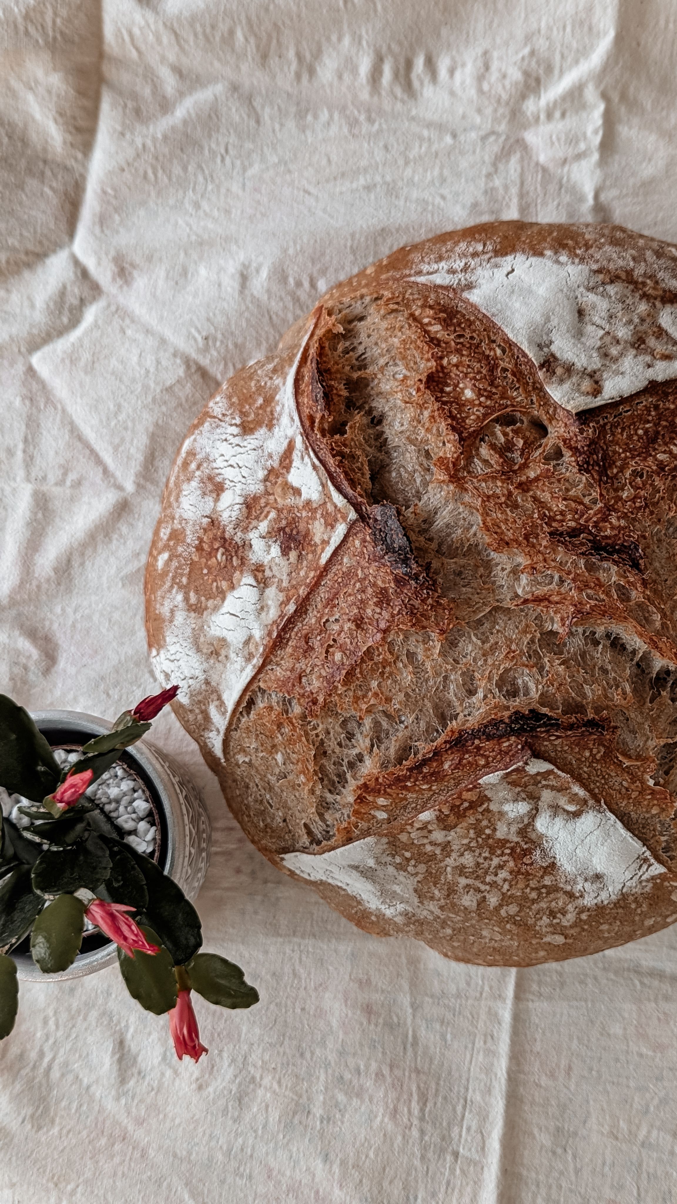 Country sourdough