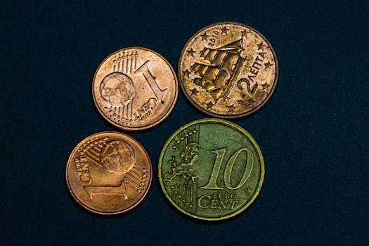 Image showcasing various euro coins arranged on a dark surface, highlighting design.