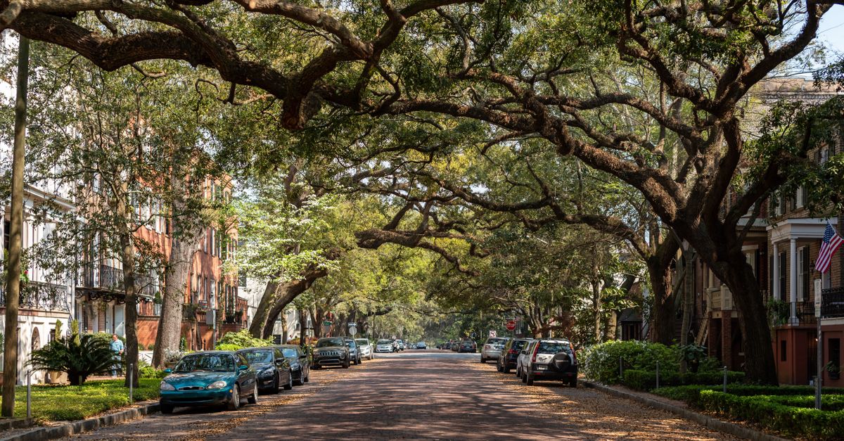 A picturesque view of a historic street lined with oak trees and classic architecture in Savannah, Georgia.