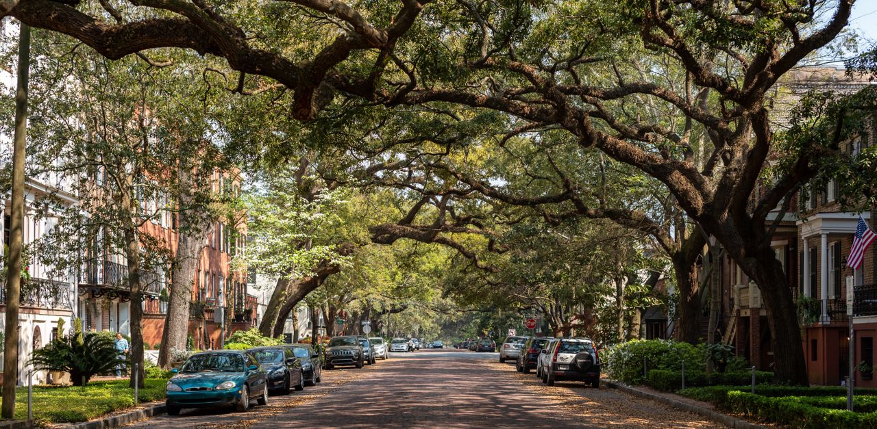 Savannah