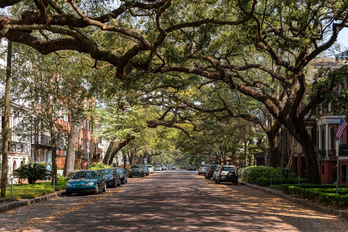 Live oaks arching over a historic street in Savannah, Georgia, one of the coastal cities newcomers move to