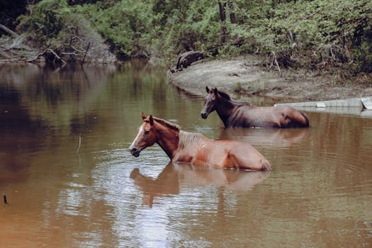 Filtros de Agua para Hogar