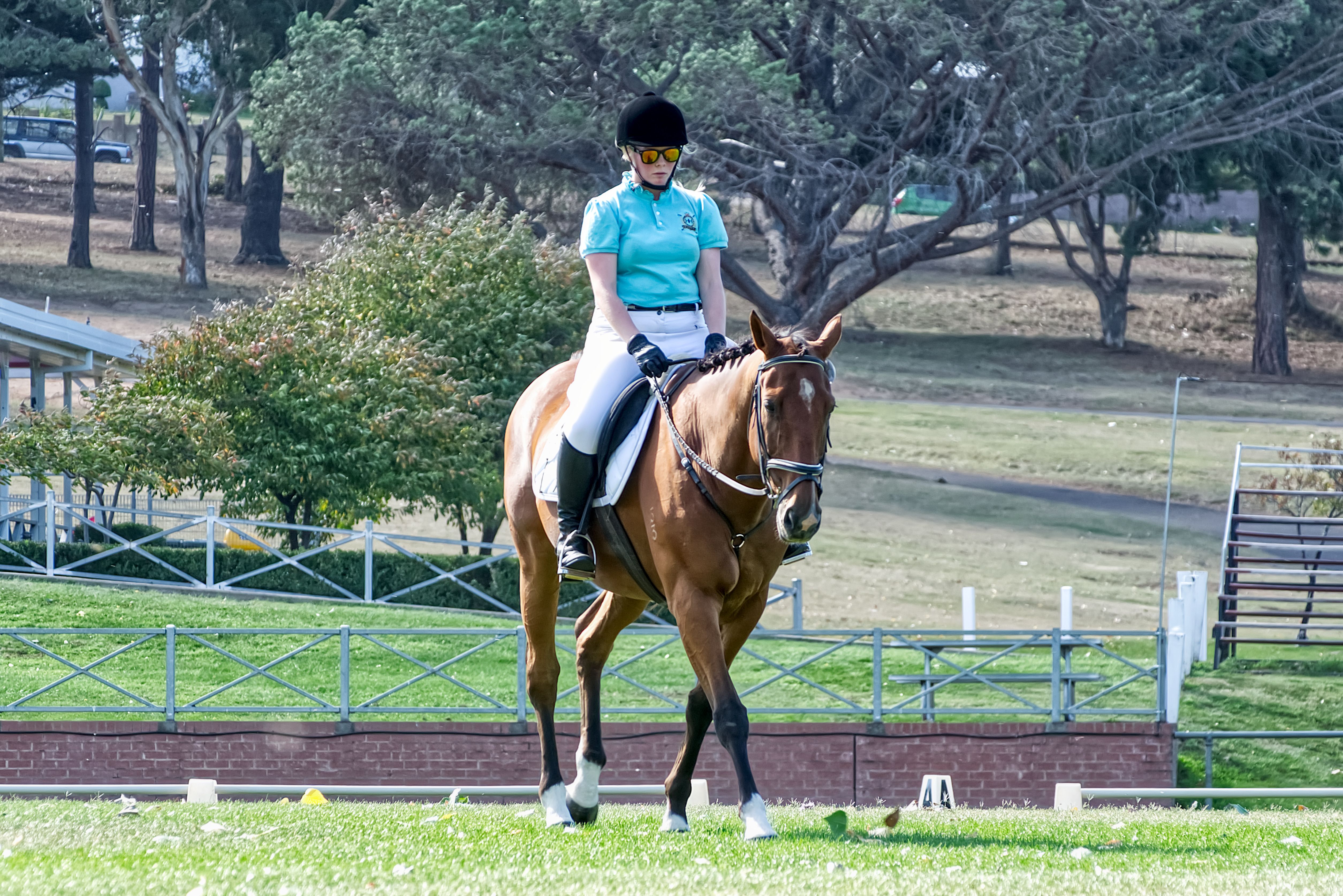Equestrian Rider in Park on Sunny Day · Free Stock Photo