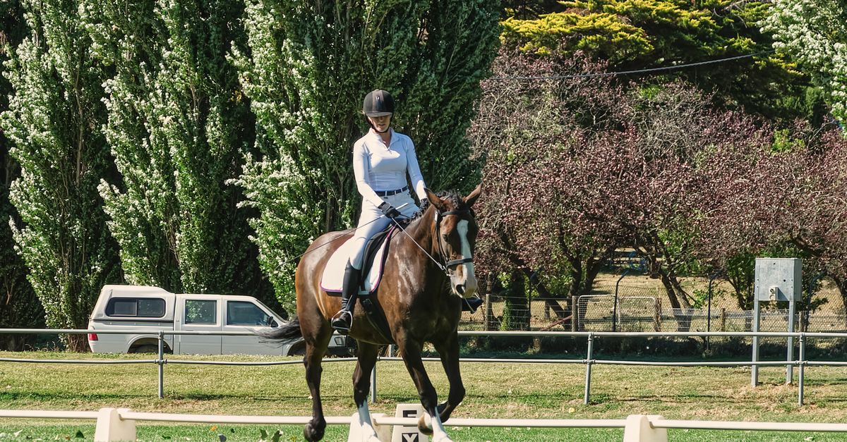 Set Up Rider Equestrian Rider and Horse in Outdoor Setting · Free Stock Photo