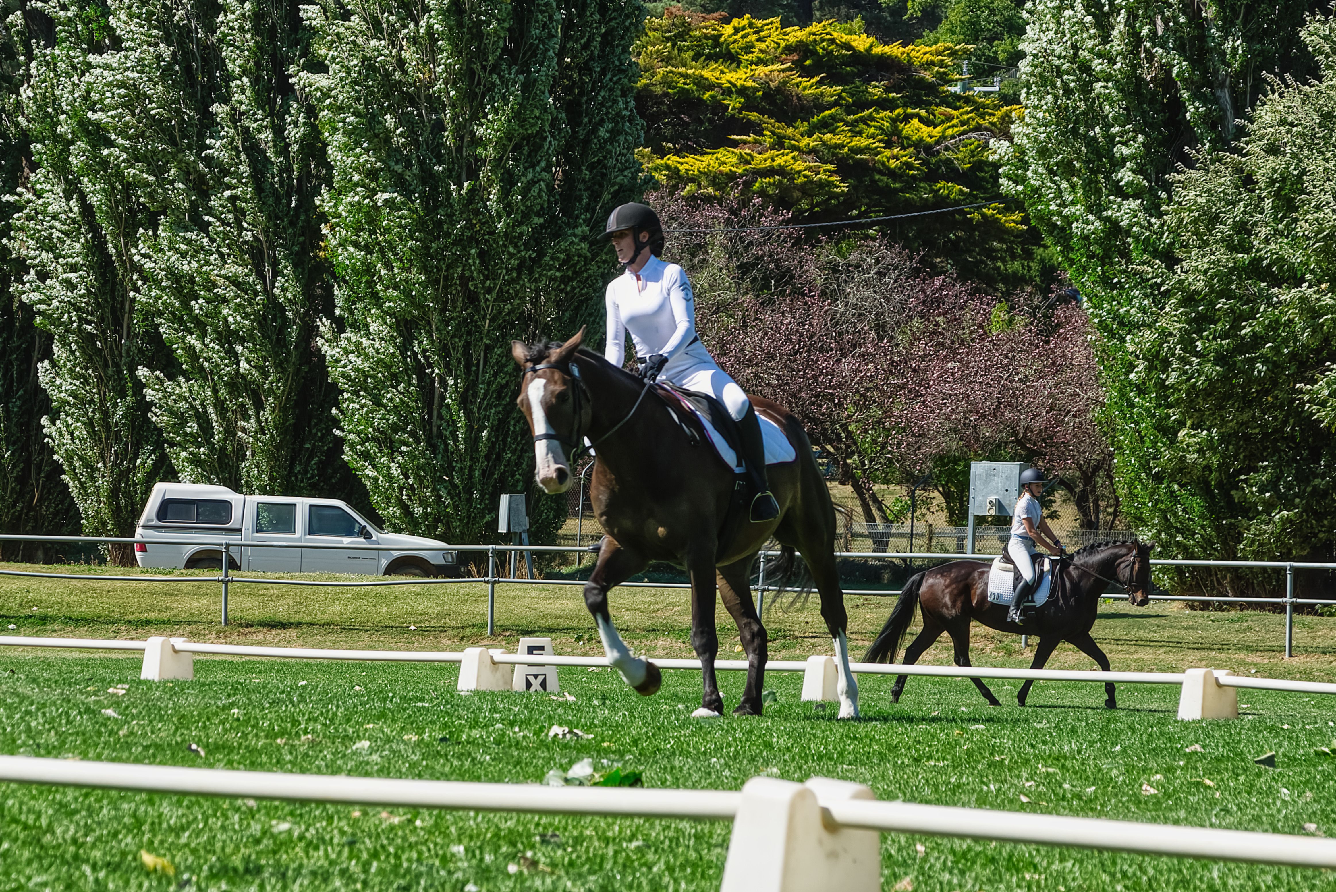Riders in white suits participating in an equestrian event, outdoors under clear daylight.
