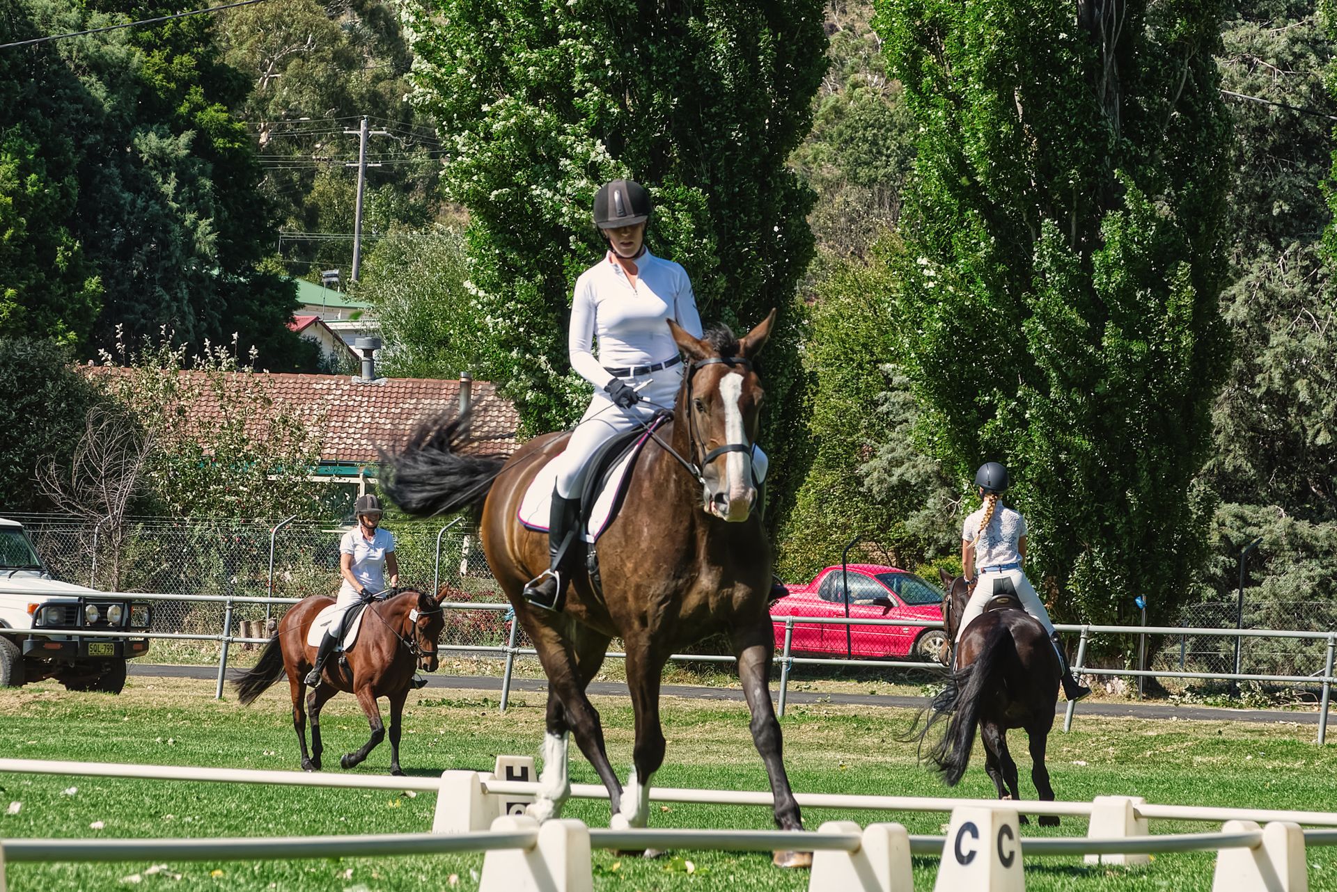 Riders on horses practicing dressage in a sunny outdoor equestrian arena.