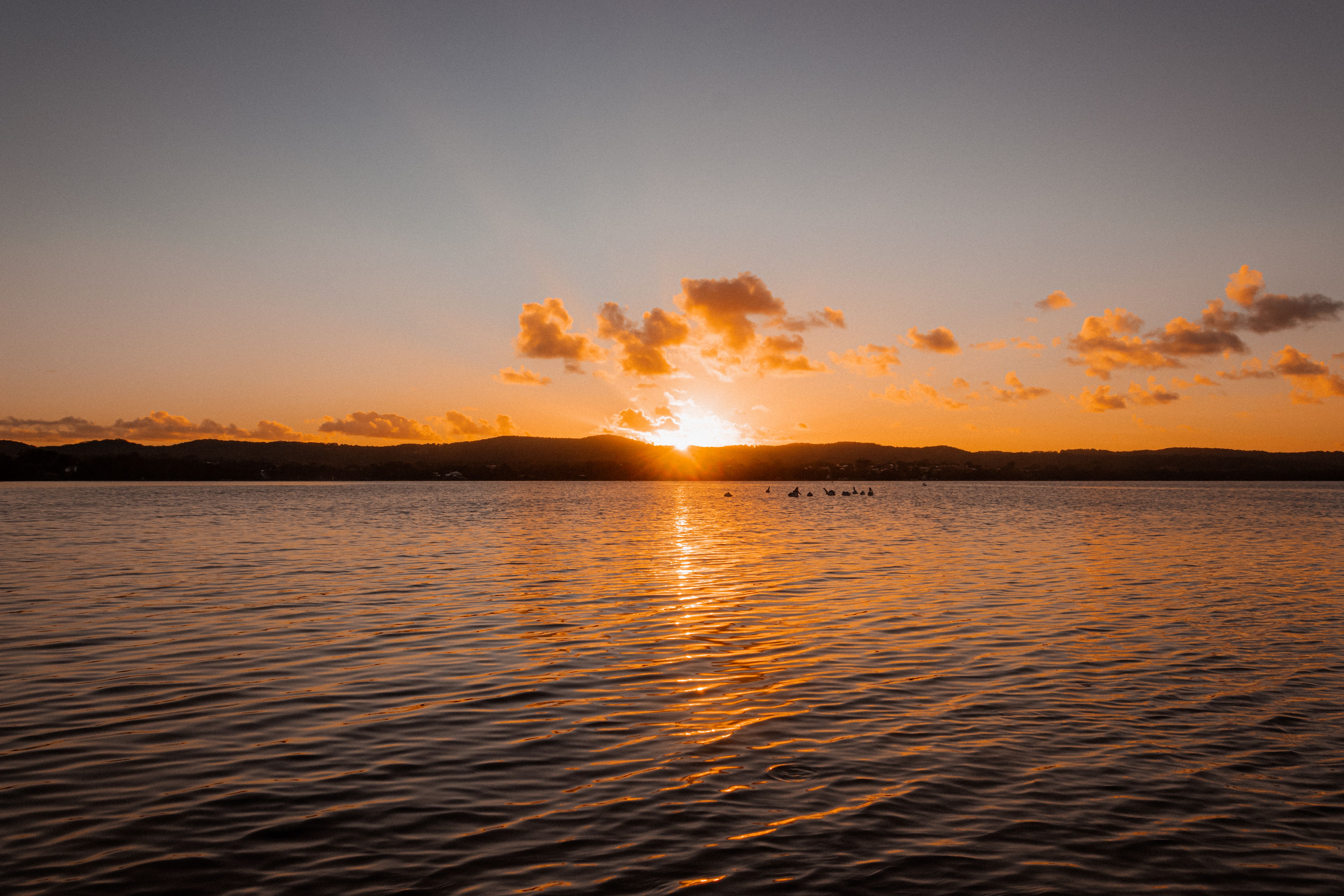 Lake Macquarie Guide: What to Do on Australia's Largest Coastal Saltwater Lake