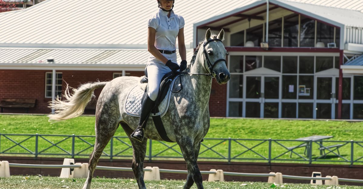 Esquestrian Rider Elegant Equestrian Rider on Gray Horse · Free Stock Photo
