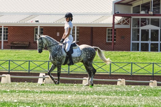 A skilled rider performs dressage on a grey horse at a well-maintained equestrian facility.