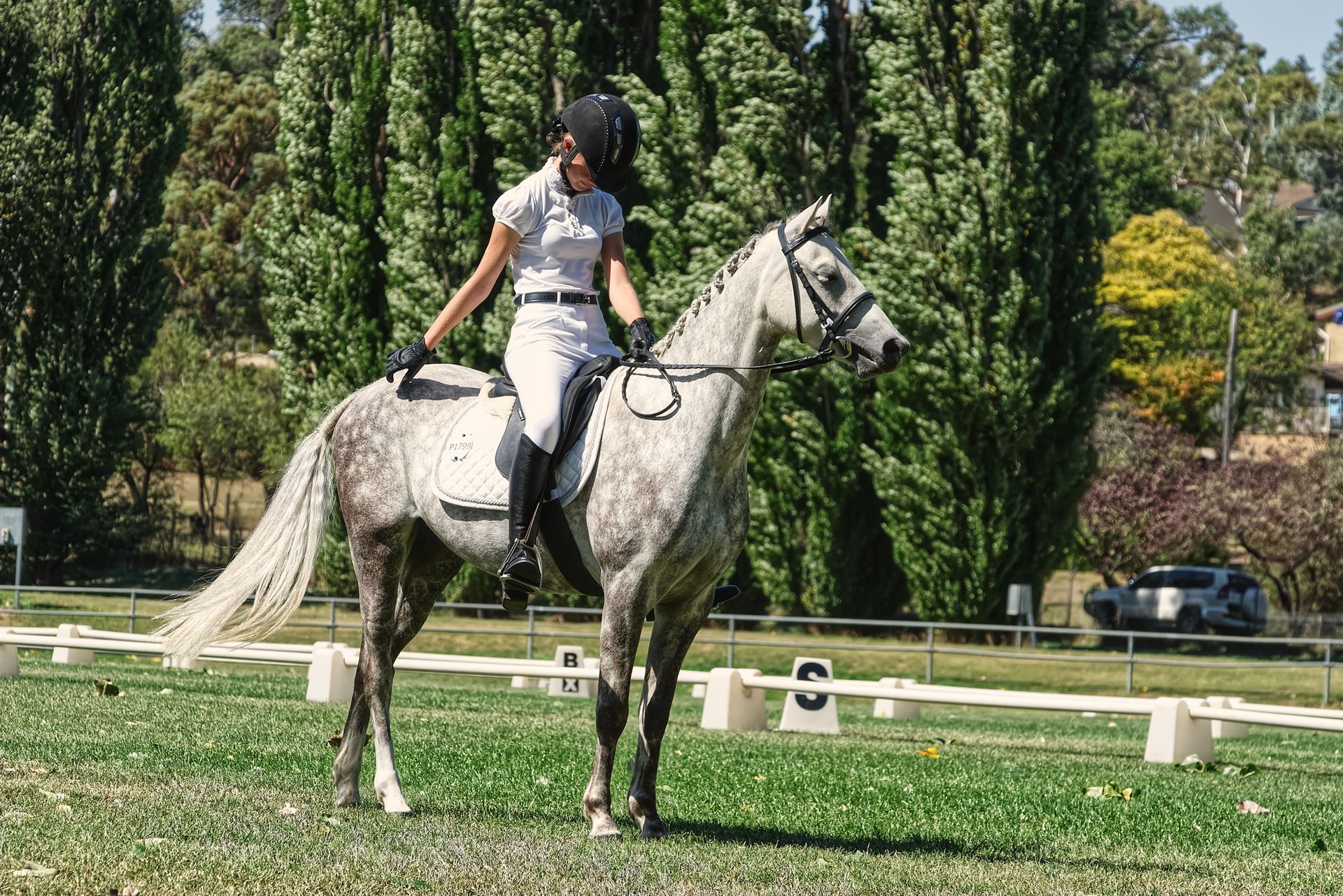 Woman riding a gray horse in an outdoor equestrian arena. Sunny day with green trees in the background.