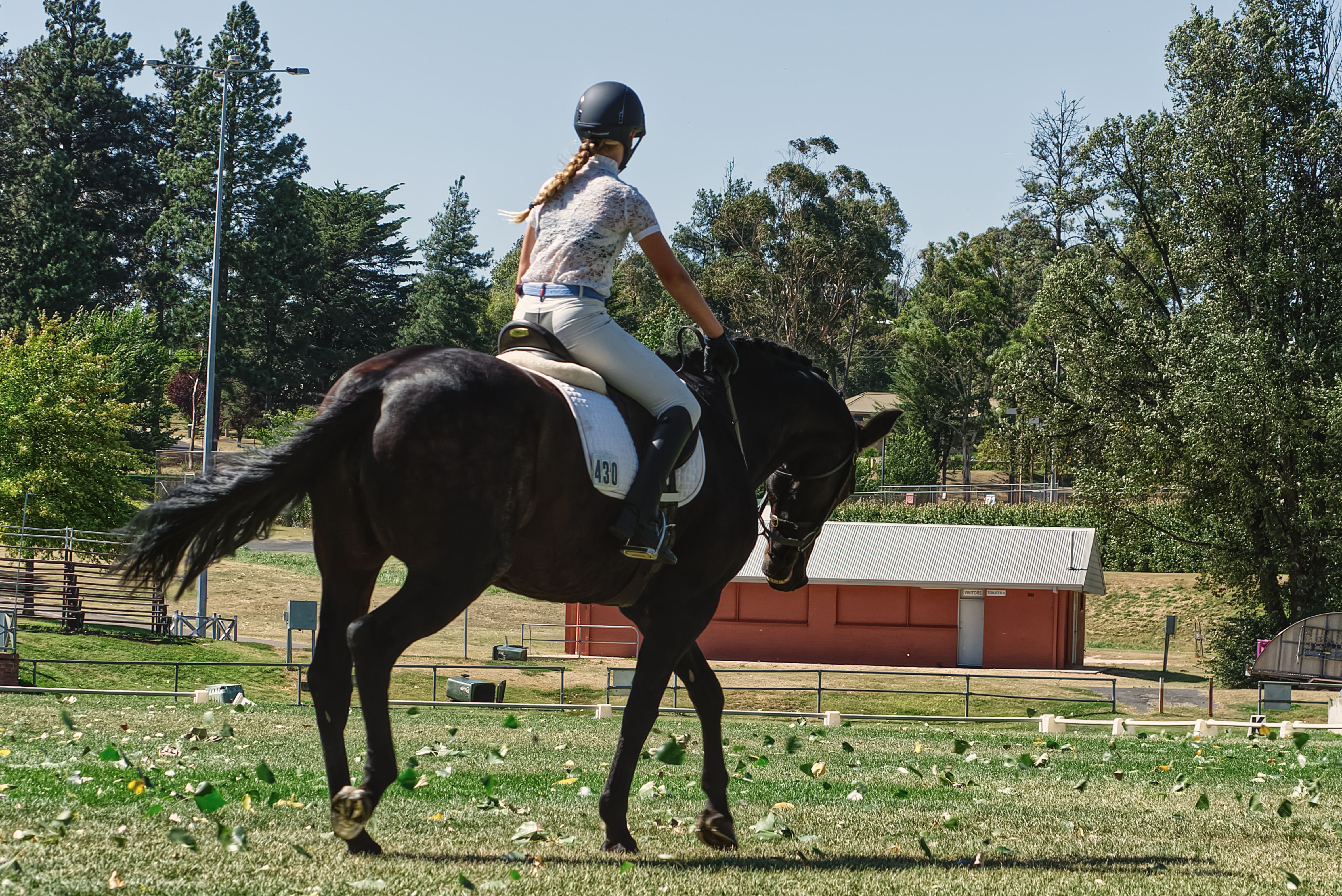 A young equestrian riding a horse in a sunny outdoor setting, perfect for sports themes.