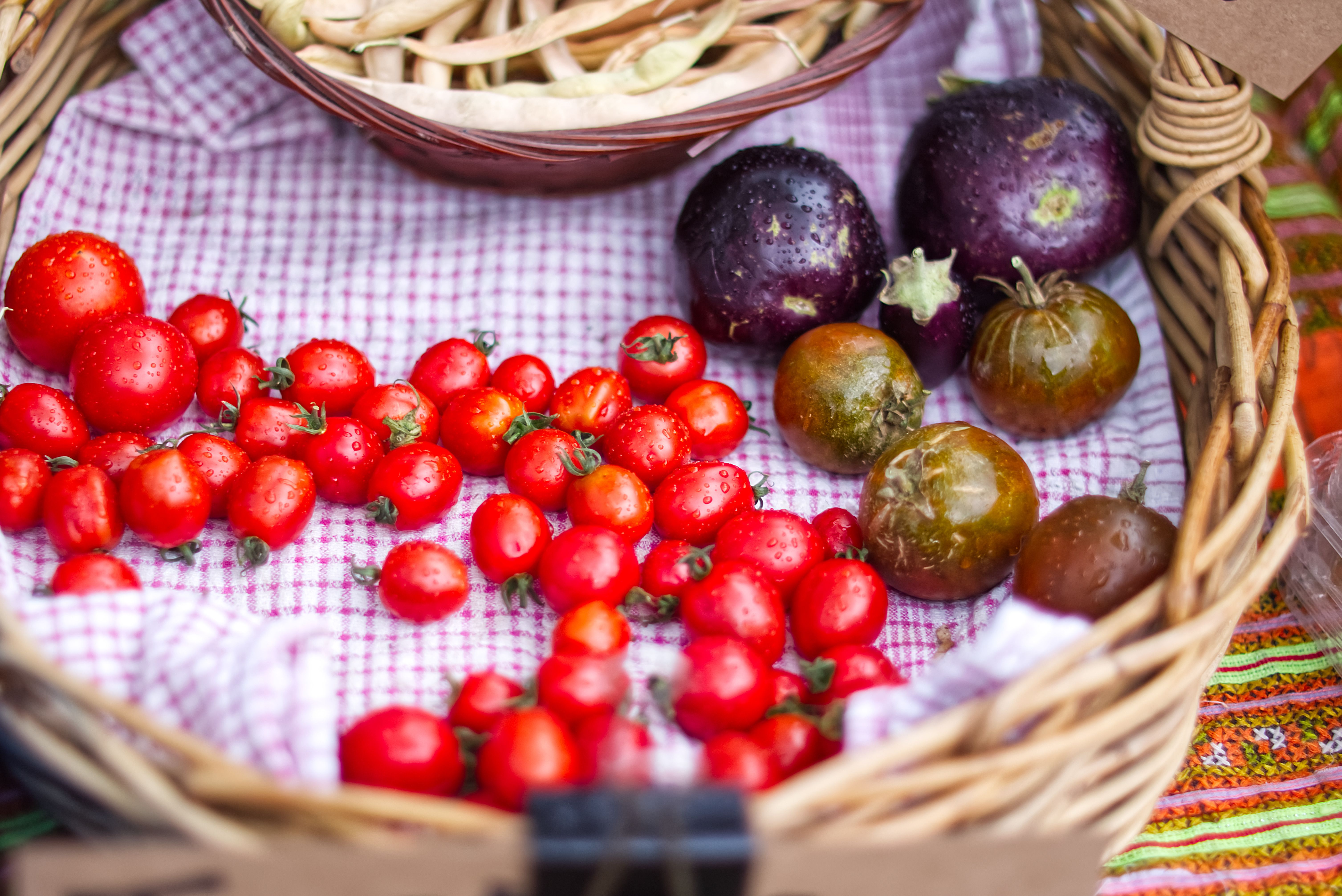 Colorful Basket of Fresh Tomatoes and Eggplants · Free Stock Photo